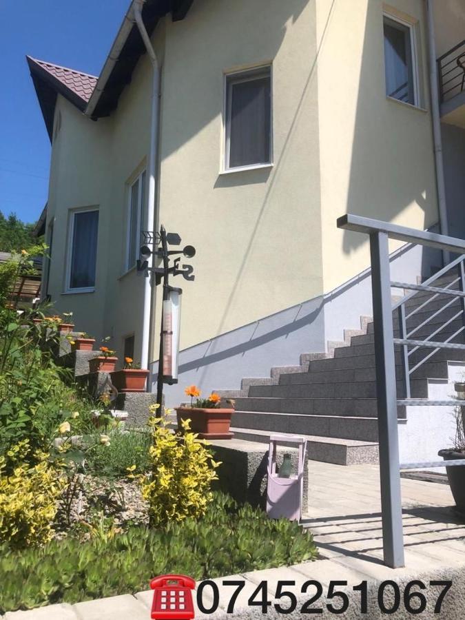 Casa Alessias Hotel Felsővisó Kültér fotó